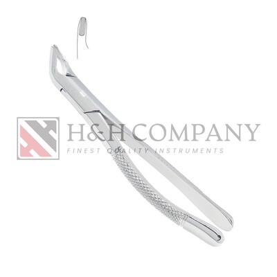 Extraction Forceps #1121 Lower Universal (ZEPF 14.151.90) Extraction Forceps #1121 Lower Universal (ZEPF 14.151.90)