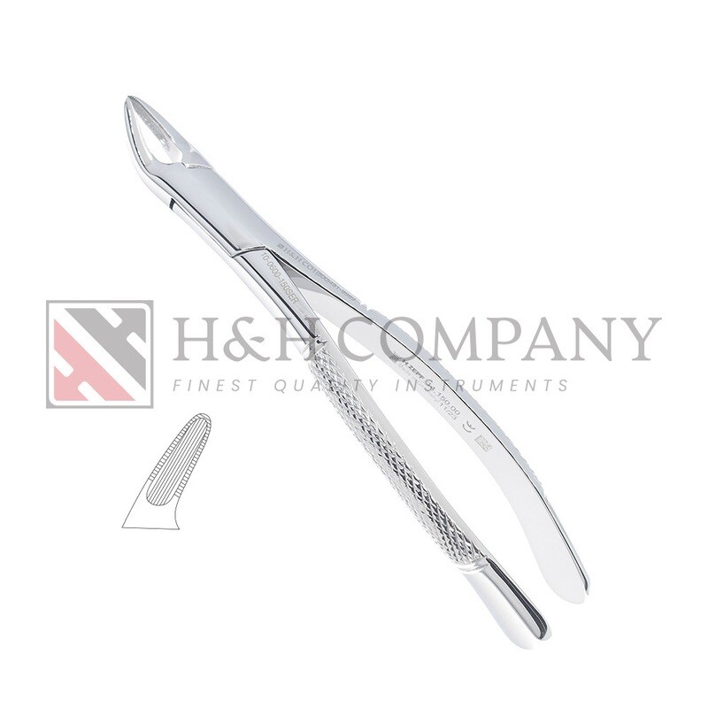 EXTRACTION FORCEPS #150 SERRATED