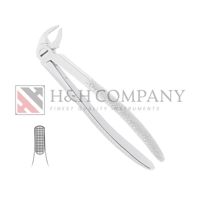 EXT FORCEP #13 LOWER PREMOLAR
