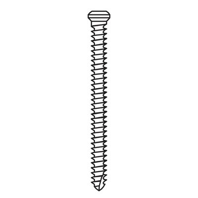 MICRO-SCREW, DIAMETER Ø1.2 MM, LENGTH 14.0 MM MICRO-SCREW, DIAMETER Ø1.2 MM, LENGTH 14.0 MM