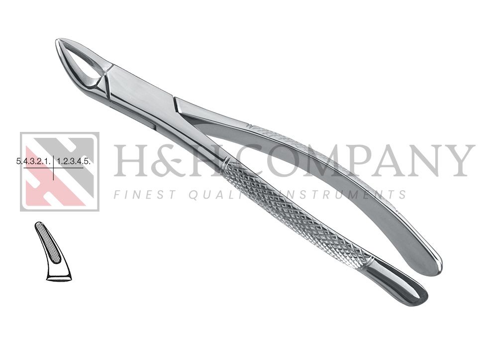 EXTRACTION FORCEP #150 UPPER UNIVERSAL (ZEPF 14.150.00)