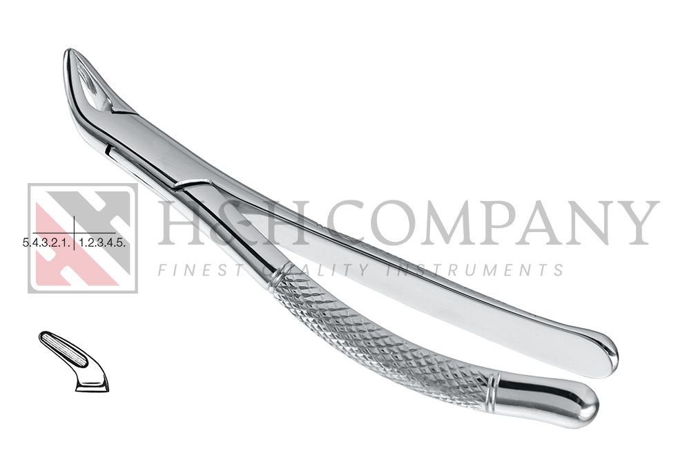 Extraction Forceps #151S Child Lower Universal (ZEPF 14.151.05) Extraction Forceps #151S Child Lower Universal (ZEPF 14.151.05)