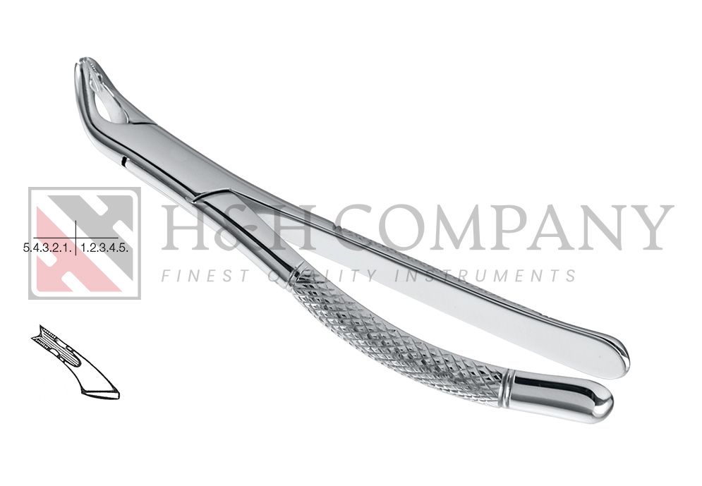 Extraction Forceps #151AS Child Lower Universal (ZEPF 14.151.11) Extraction Forceps #151AS Child Lower Universal (ZEPF 14.151.11)