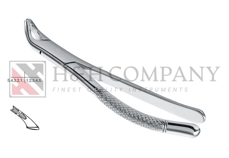 Extraction Forceps #151AS Child Lower Universal (ZEPF 14.151.11)