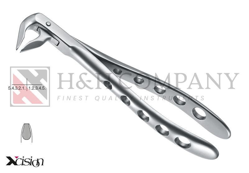 EXT FORCEP #1174X LOWER INCISORS TO PREMOLARS (ZEPF 12.036.08Z)