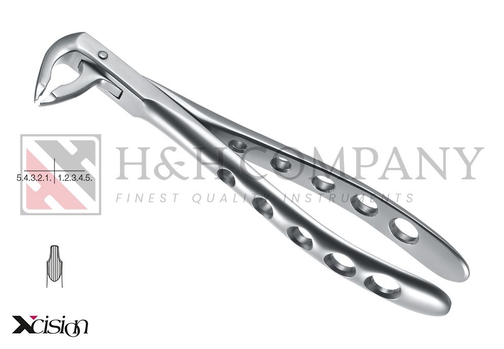 EXT FORCEP #74X LOWER ROOTS, INCISORS TO PREMOLARS (Zepf # 12.036.00Z) EXT FORCEP #74X LOWER ROOTS, INCISORS TO PREMOLARS (Zepf # 12.036.00Z)