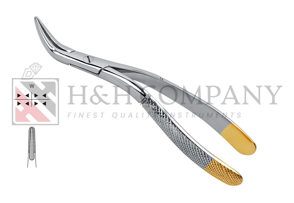 EXTRACTING FORCEPS/ROOT SPLINTER, WITZEL, UNIVERSAL ROOTS,