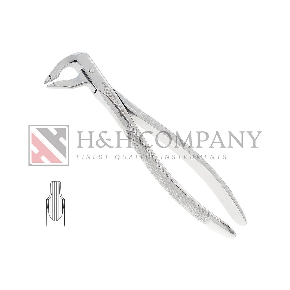 Extraction Forceps 36A Lower Incisors to Premolars Extraction Forceps 36A Lower Incisors to Premolars