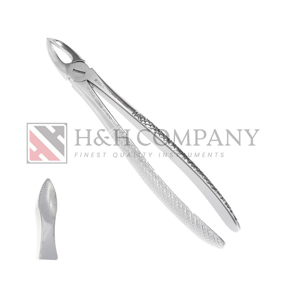 Extraction Forceps #1229E, Serrated, Upper Roots, Incisors &amp; Canines