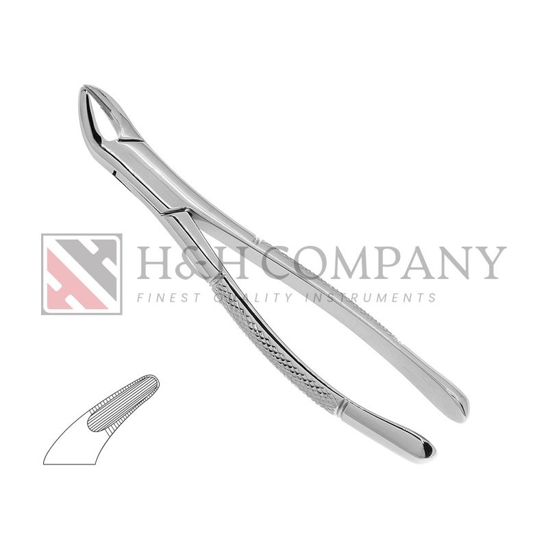 EXTRACTION FORCEPS #151 SERRATED