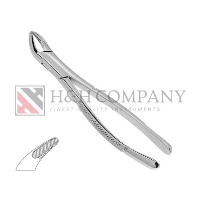 EXTRACTION FORCEPS #151 SERRATED EXTRACTION FORCEPS #151 SERRATED