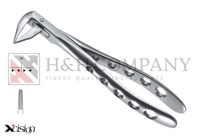 EXTRACTION FORCEPS LOWER ROOTS NARROW ASH, XCISION EXTRACTION FORCEPS LOWER ROOTS NARROW ASH, XCISION