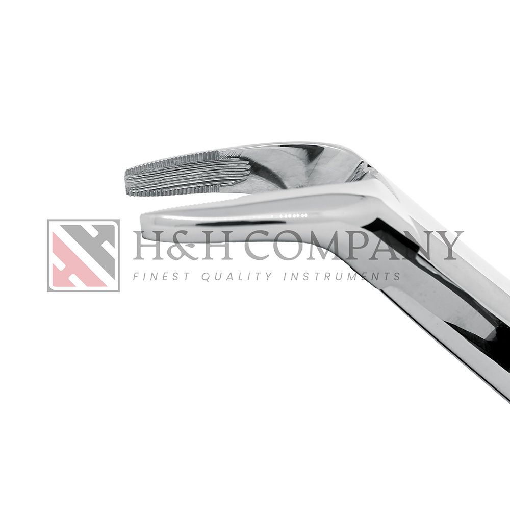 EXT FORCEP #962