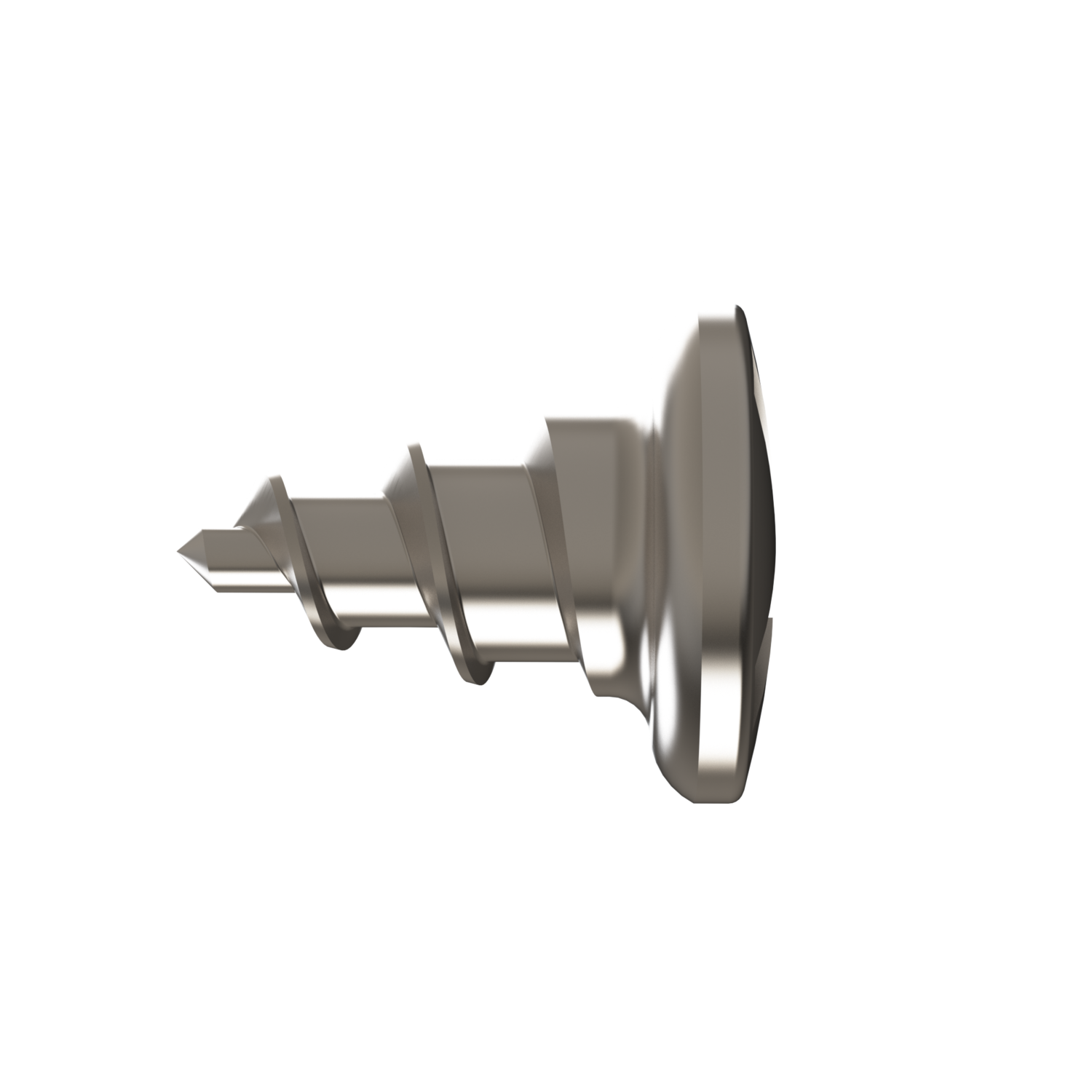 FIXATION SCREWS/20 SCREWS