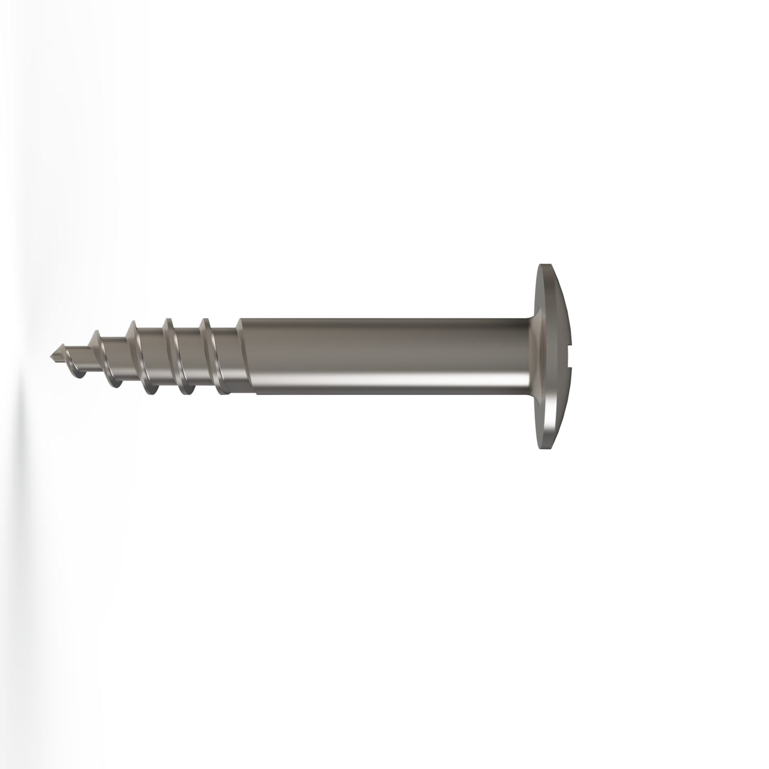 TENTING SCREWS 5.00mm/1-SCREW