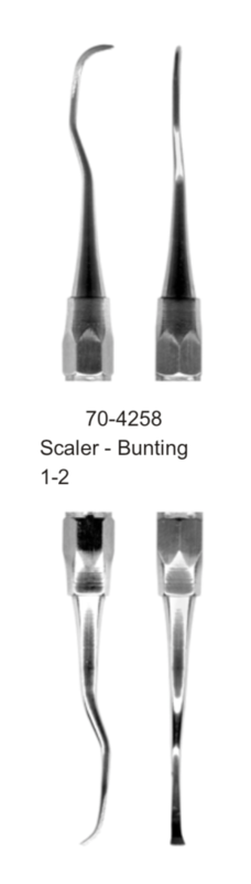 SCALER-D/E-BUNTING-1-2