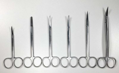 Stainless Scissors