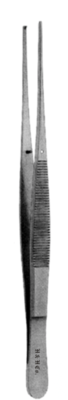 Stainless Steel