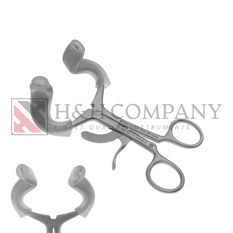 Molt Mouth Gag, Adult