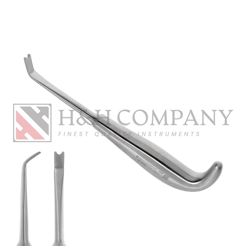 Stripper, Hargis Anterior Border