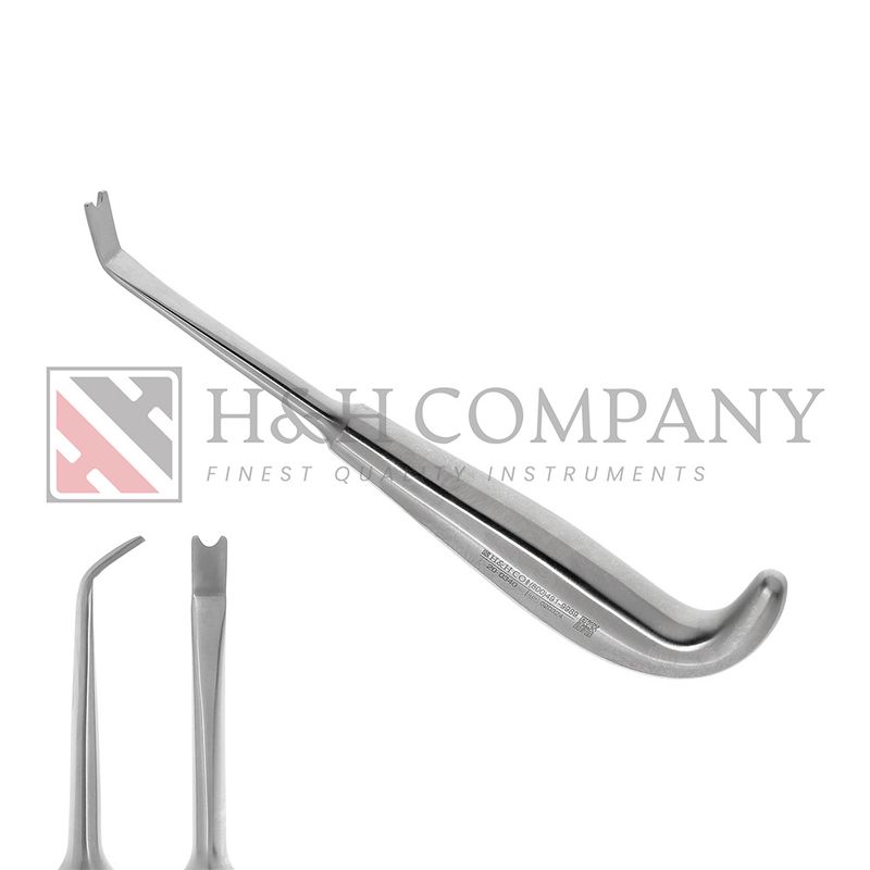 Stripper, Hargis Anterior Border