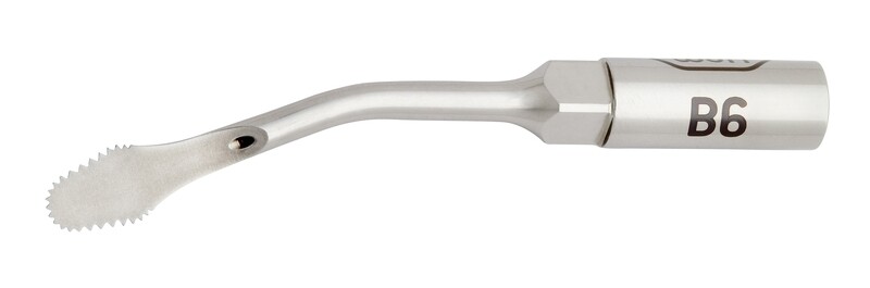 B6 tip