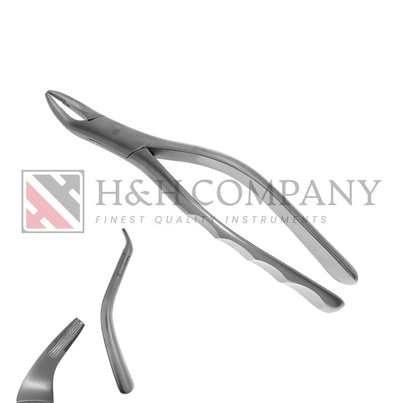 Extraction Forceps, Upper #962, Matte Finish