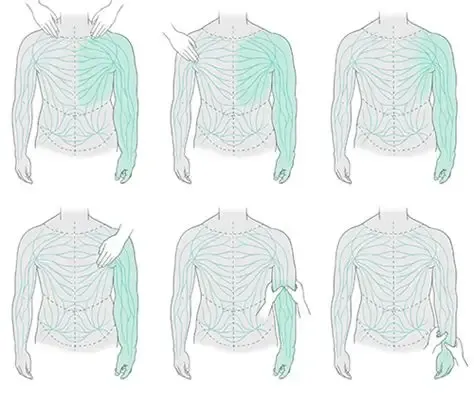 Manuelle Lymphdrainage 30 min.