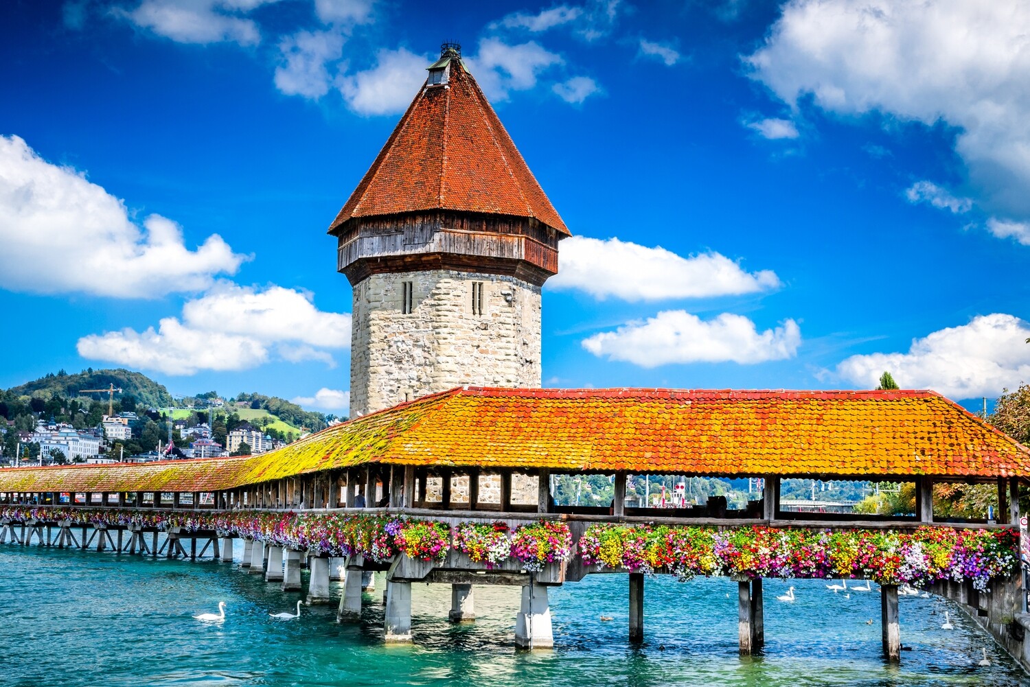 Switzerland: Zurich, Lucerne & Rhine Waterfalls Switzerland: Zurich, Lucerne & Rhine Waterfalls