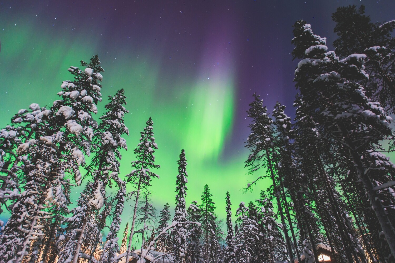 Lapland Dream: Northern Lights Adventure in Rovaniemi – Saint Valentine Special