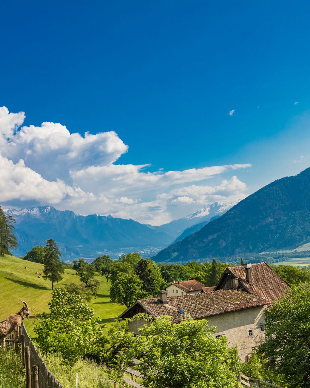 Switzerland: Arosa, Chur, Heididorf &amp; Rheinfalls
