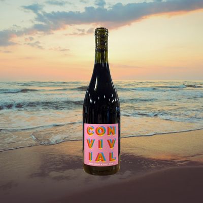 Convivial Grochau Cellar Red Wine