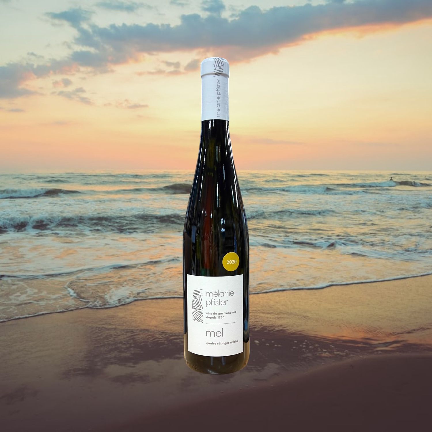 Melanie Pfister Quatre