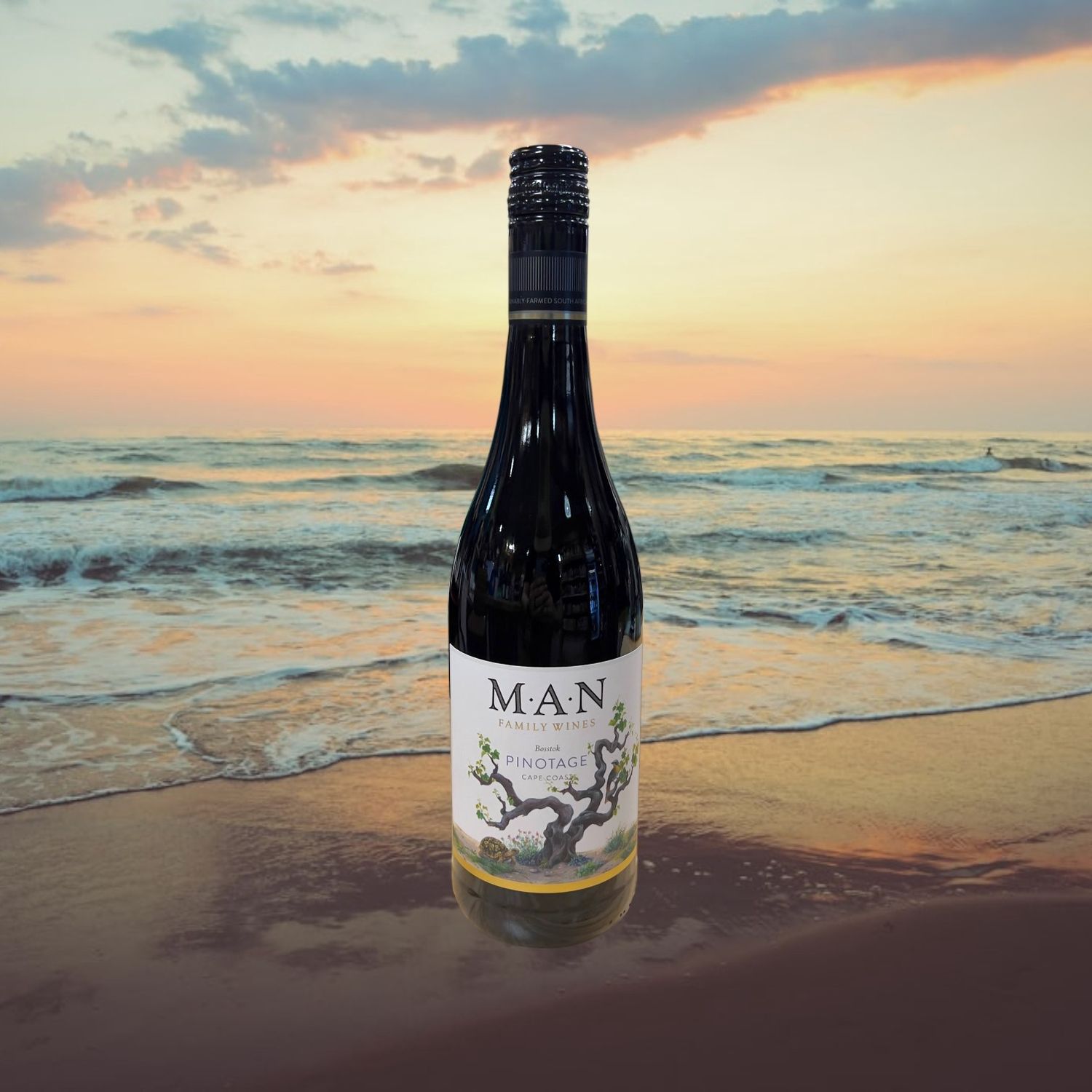 Man Vintners Pinotage