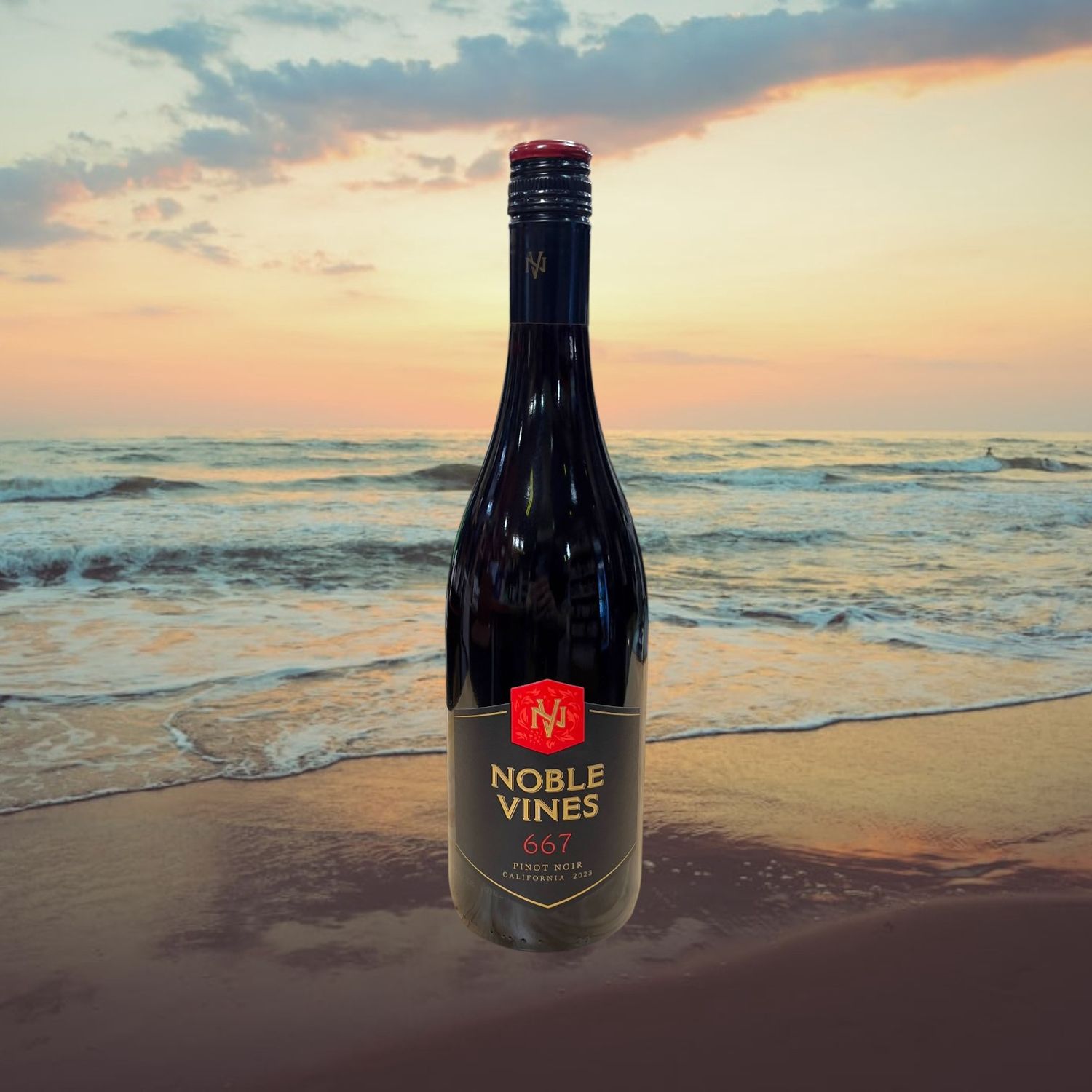 Noble Vines Pinot Noir