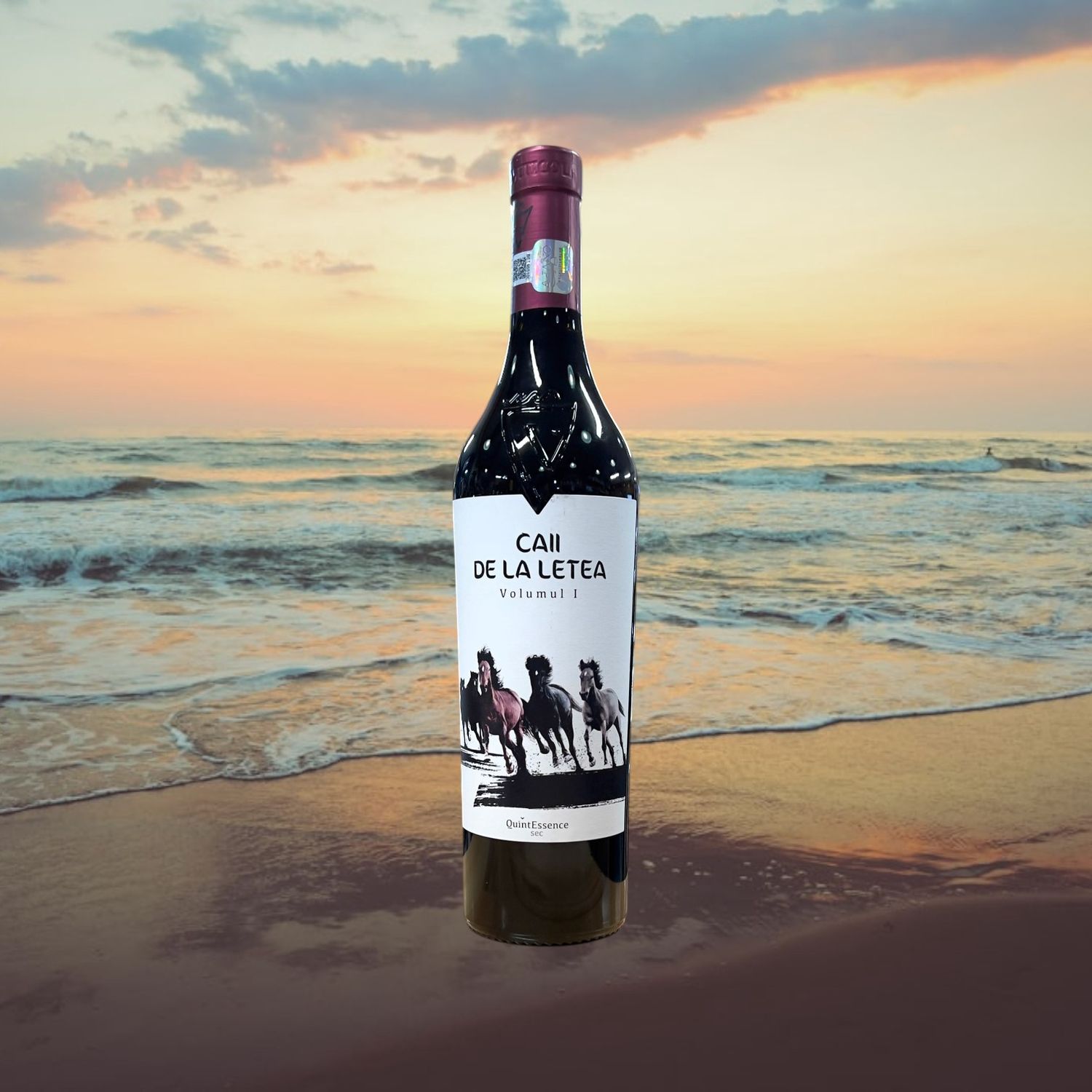 Caii De La Letea Vigoare Quintessence