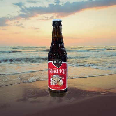 Troegs Mad Elf