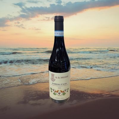 Vajra Barbera D' Alba