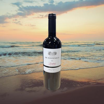 Chateau De Fontenille Bordeaux