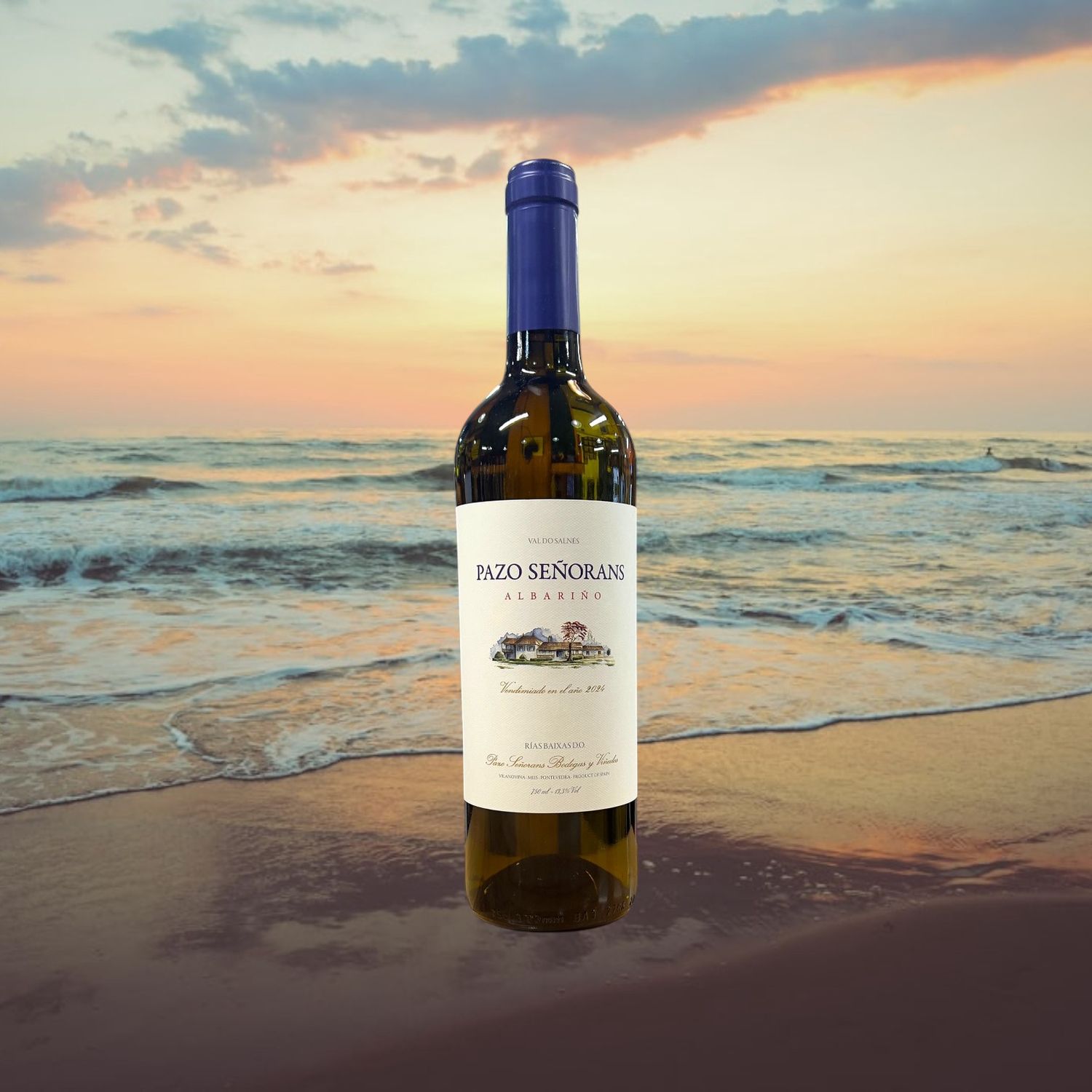 Pazo De Senorans Albarino