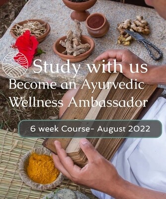 Become an Ayurvedic Wellness Ambassador- 6 Week Course *  AUG Intake