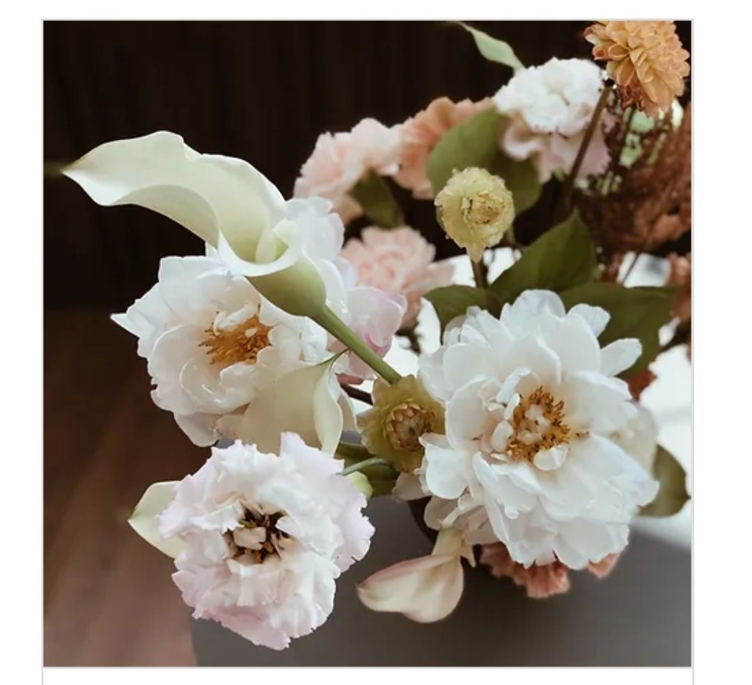 Surrender SPA- Half Day Package; Sound bath, Shirodhara, Full Body Massage, Facial, Steam Bath &amp; Lunch