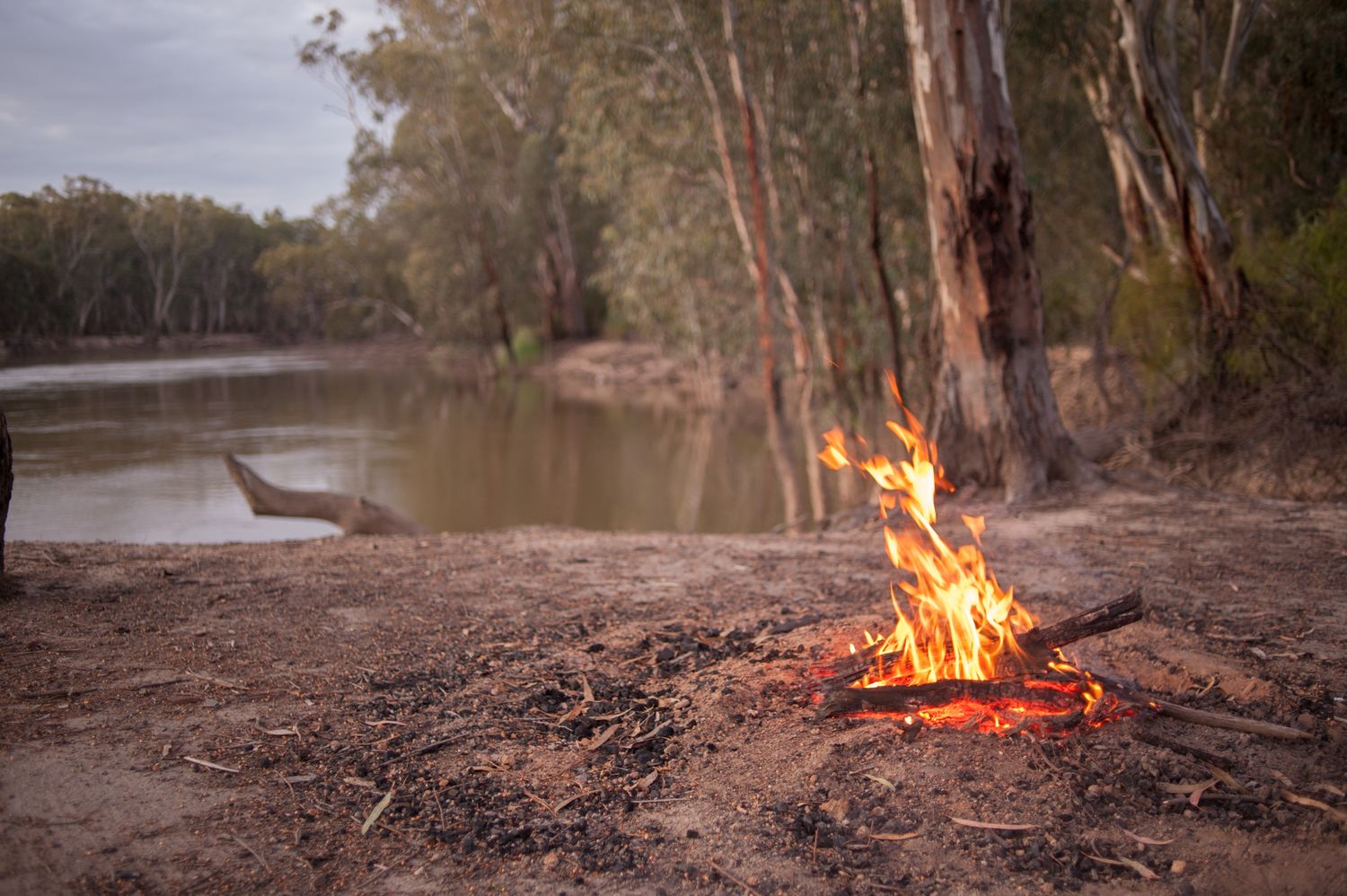 Yogaeda Retreat - Cruise the Murray River * Early Bird Special