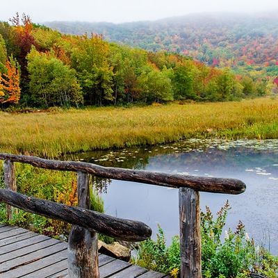 Nourish Spa Package- Indian Head Massage, Herbal Bolus Massage, Herbal Scrub &amp; Steam Bath- ON SALE