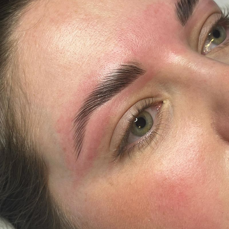 Brow Lamination Inc. Waxing and Tinting