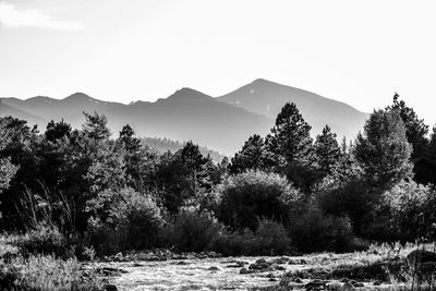 BW Landscape