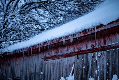 Snow Barn-1