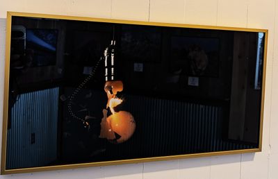 Exploding Light Bulb 12x24 inch framed