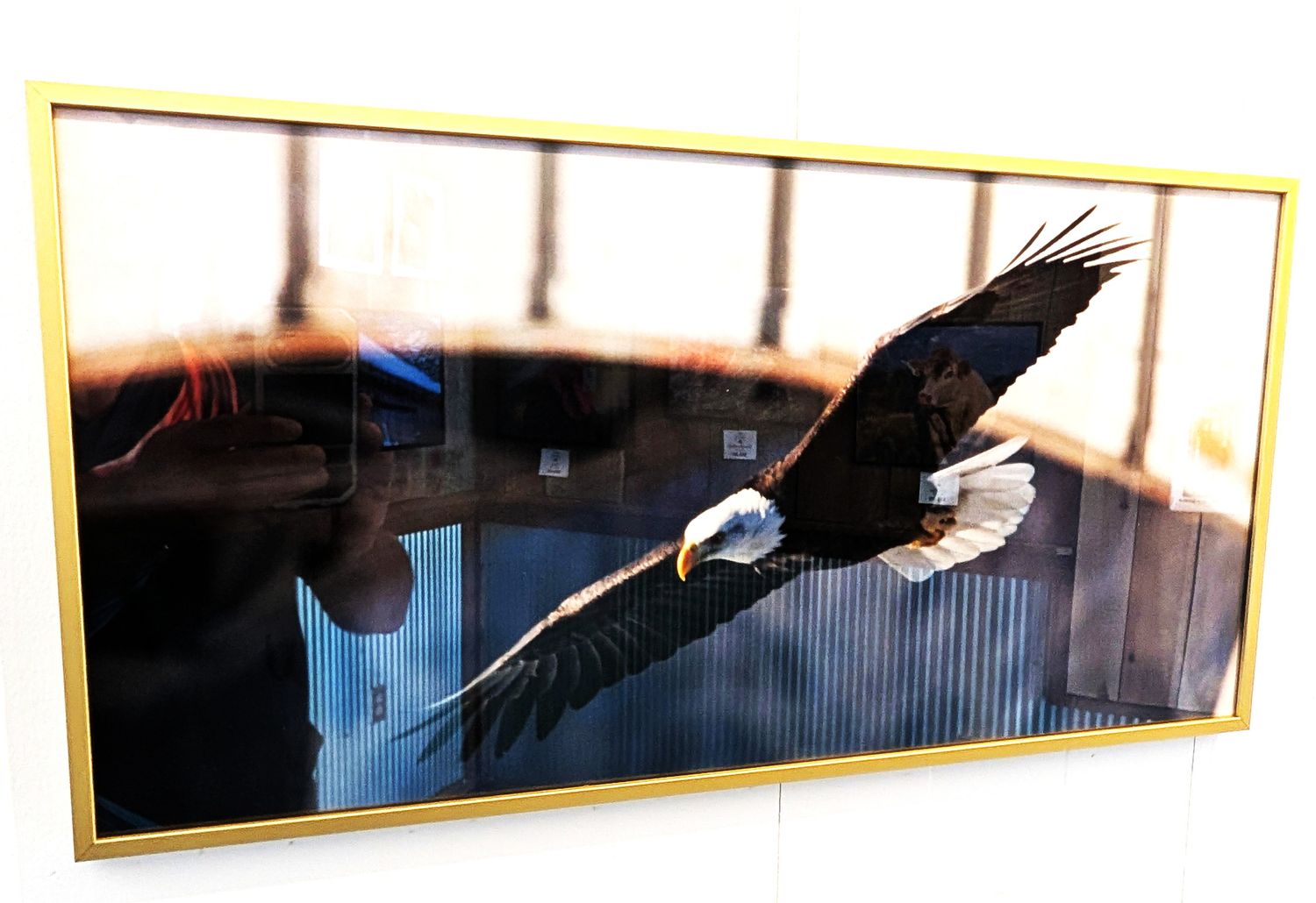 Eagle on the Mississippi 12x24   # 5711