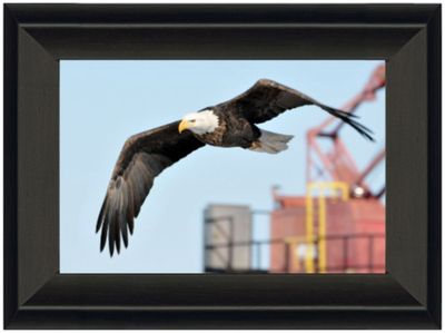 Man &amp; Nature 10x15 framed print  #5047